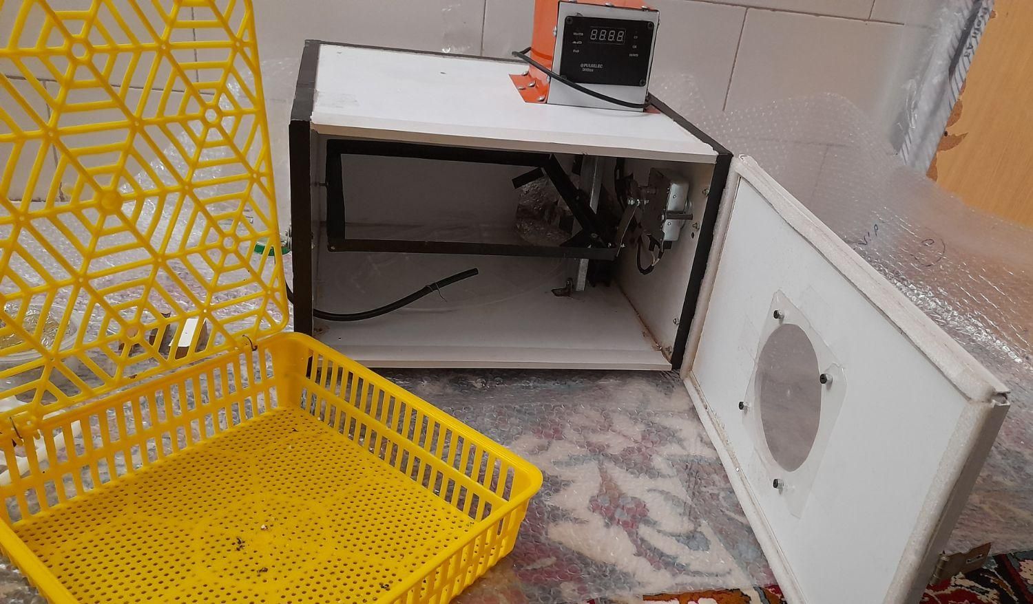 دستگاه جوجه کشی|لوازم جانبی حیوانات|سیرجان, |دیوار