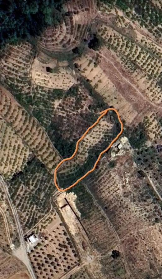 باغ انگورحصار|فروش زمین و ملک کلنگی|قیدار, |دیوار