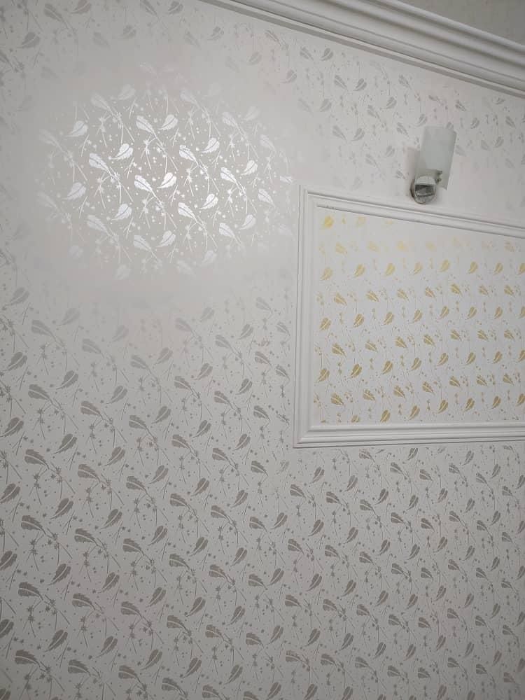 نقاشی ساختمان طرح کاغذدیواری|خدمات پیشه و مهارت|آستانه اشرفیه, |دیوار