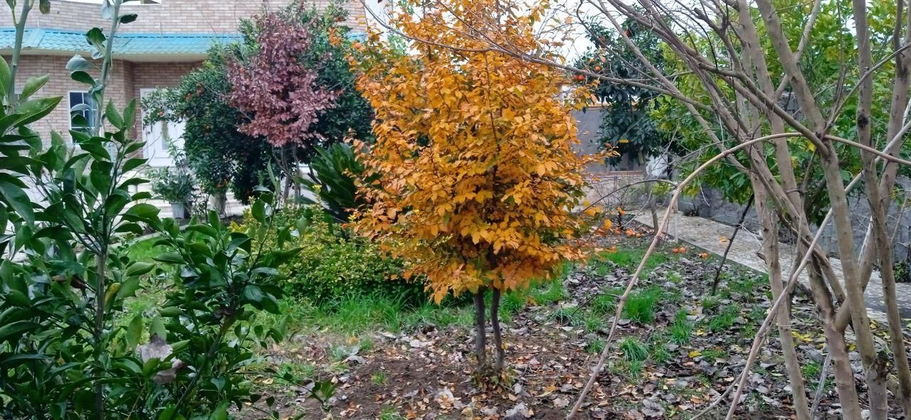 ویلایی دنج با محیطی امن برای خانواده|اجارهٔ کوتاهمدت ویلا و باغ|قائمشهر, |دیوار