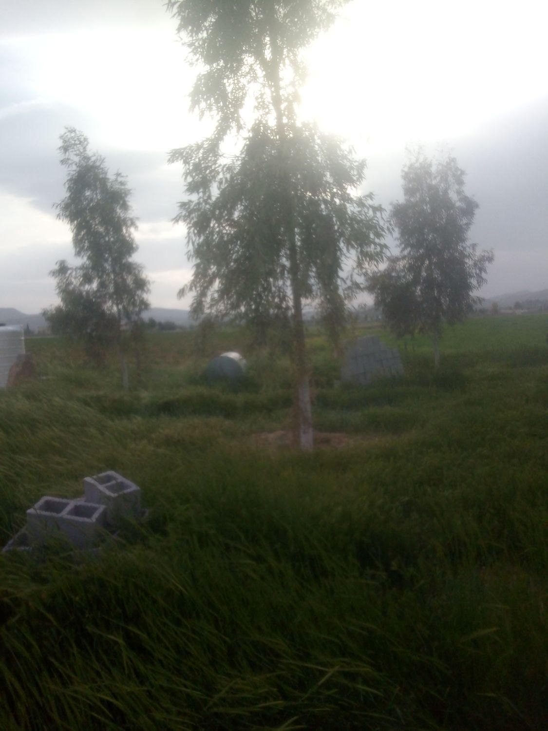 فروش زمین ۱۰۰۰ متری در روستای تربر جعفری|فروش زمین و ملک کلنگی|شیراز, داریون|دیوار