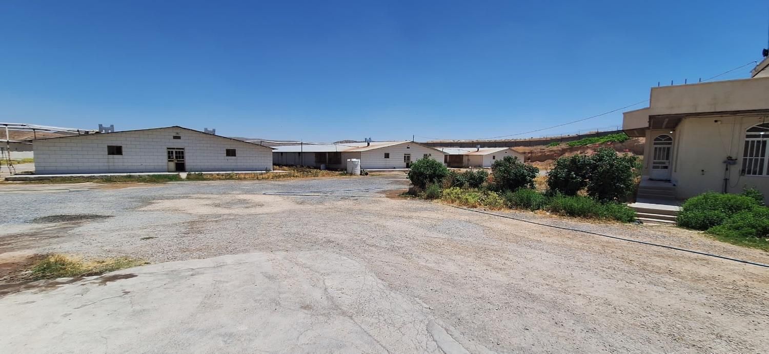 مرغداری گوشتی ۸۰ هزار قطعه ای|فروش دفتر صنعتی، کشاورزی، تجاری|شیراز, معالی‌آباد|دیوار