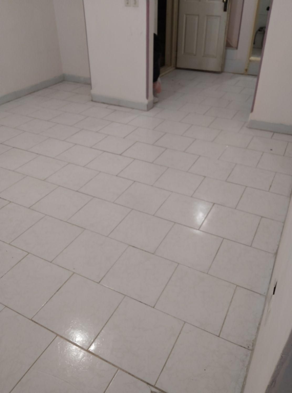 خدمات نظافتی منزل و آپارتمان تضمینی|خدمات نظافت|کرمان, |دیوار