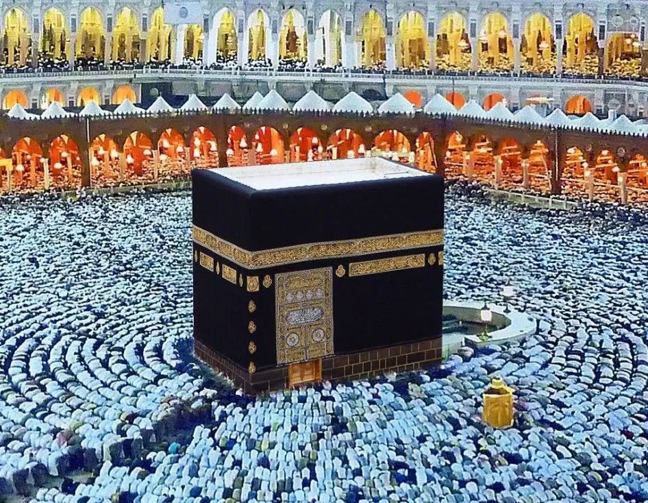 فروش ۲ عدد فیش حج تمتع|تور و چارتر|مشهد, ولیعصر (شهرک غرب)|دیوار