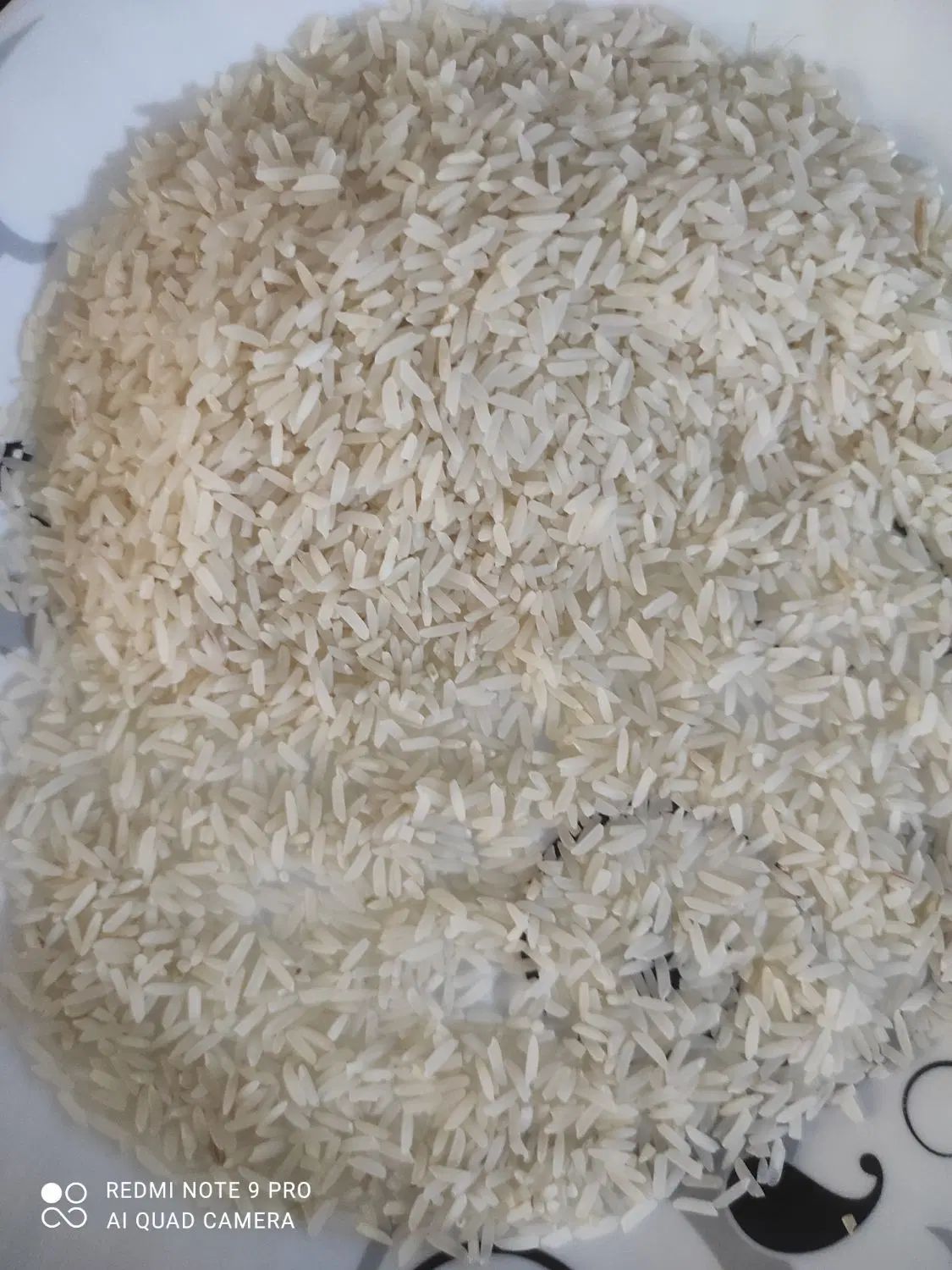 برنج صد درصد ایرانی خالص کشت خودمونه.   برنج الموت|خوردنی و آشامیدنی|تهران, شهرک ولیعصر شمالی|دیوار