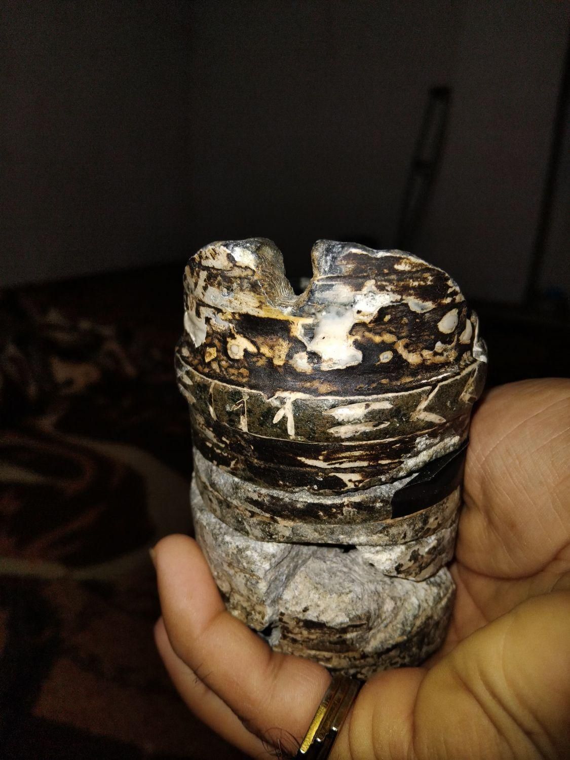 تندیس سنگی قدیمی|مجسمه، تندیس، ماکت|جهرم, |دیوار