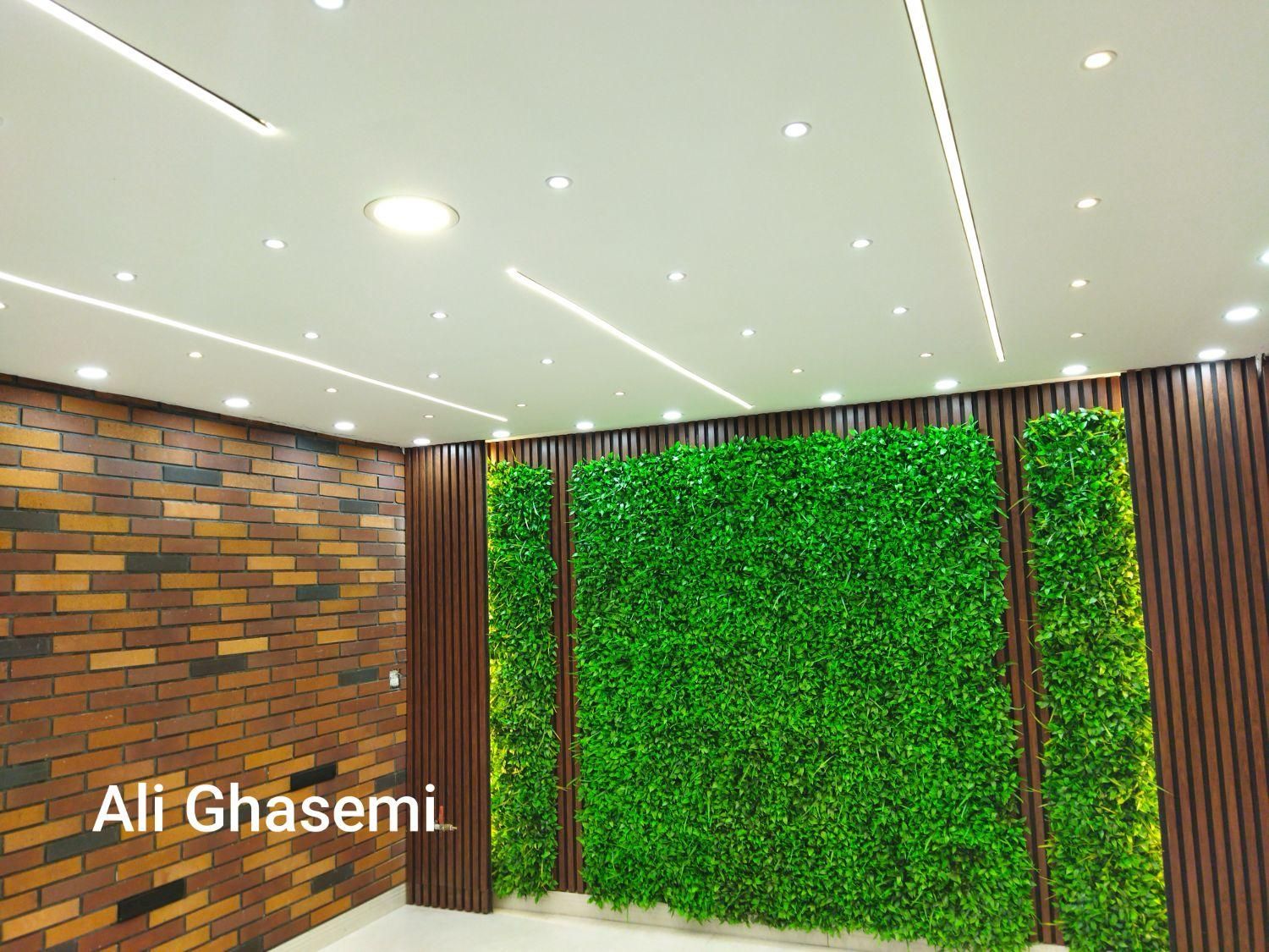 نقاشی ساختمان|خدمات پیشه و مهارت|صحنه, |دیوار