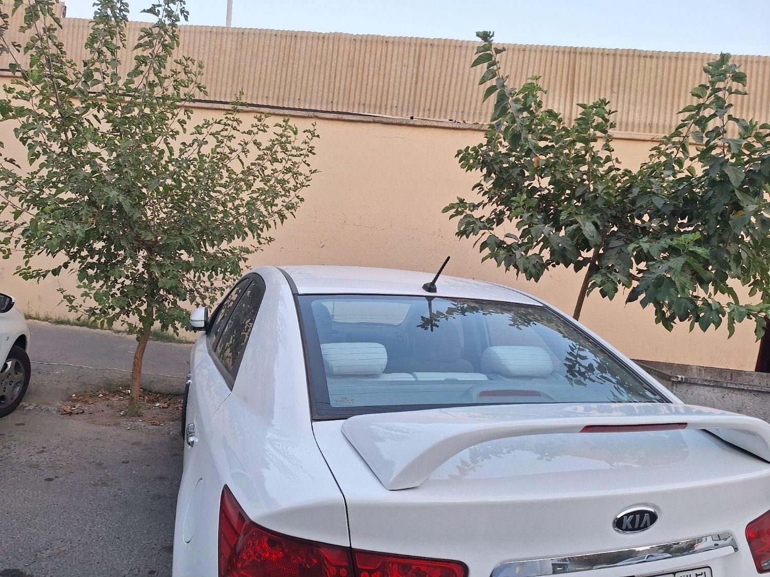 بال اسپرت صندق عقب|قطعات یدکی و لوازم جانبی|کرج, کوی کارمندان جنوبی|دیوار