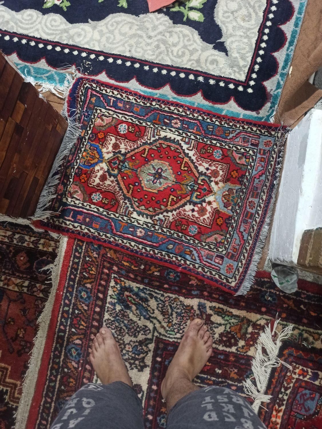 سلام 6عددقالی خودمانی|فرش|تویسرکان, |دیوار