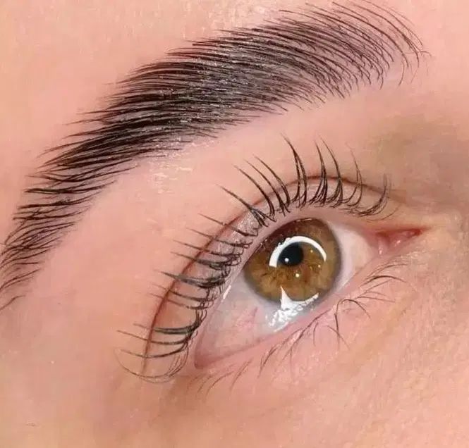 لیفت مژه و ابرو اکستنشن مژه اپلاسیون بدن|خدمات آرایشگری و زیبایی|بجنورد, |دیوار