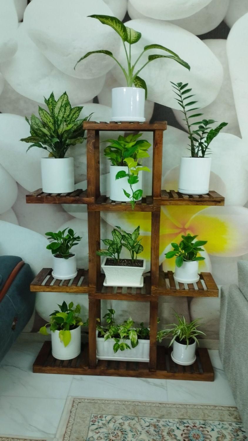 استند گل ۱۰ طبقه|گل و گیاه طبیعی|اسلام‌شهر, چیچکلو|دیوار