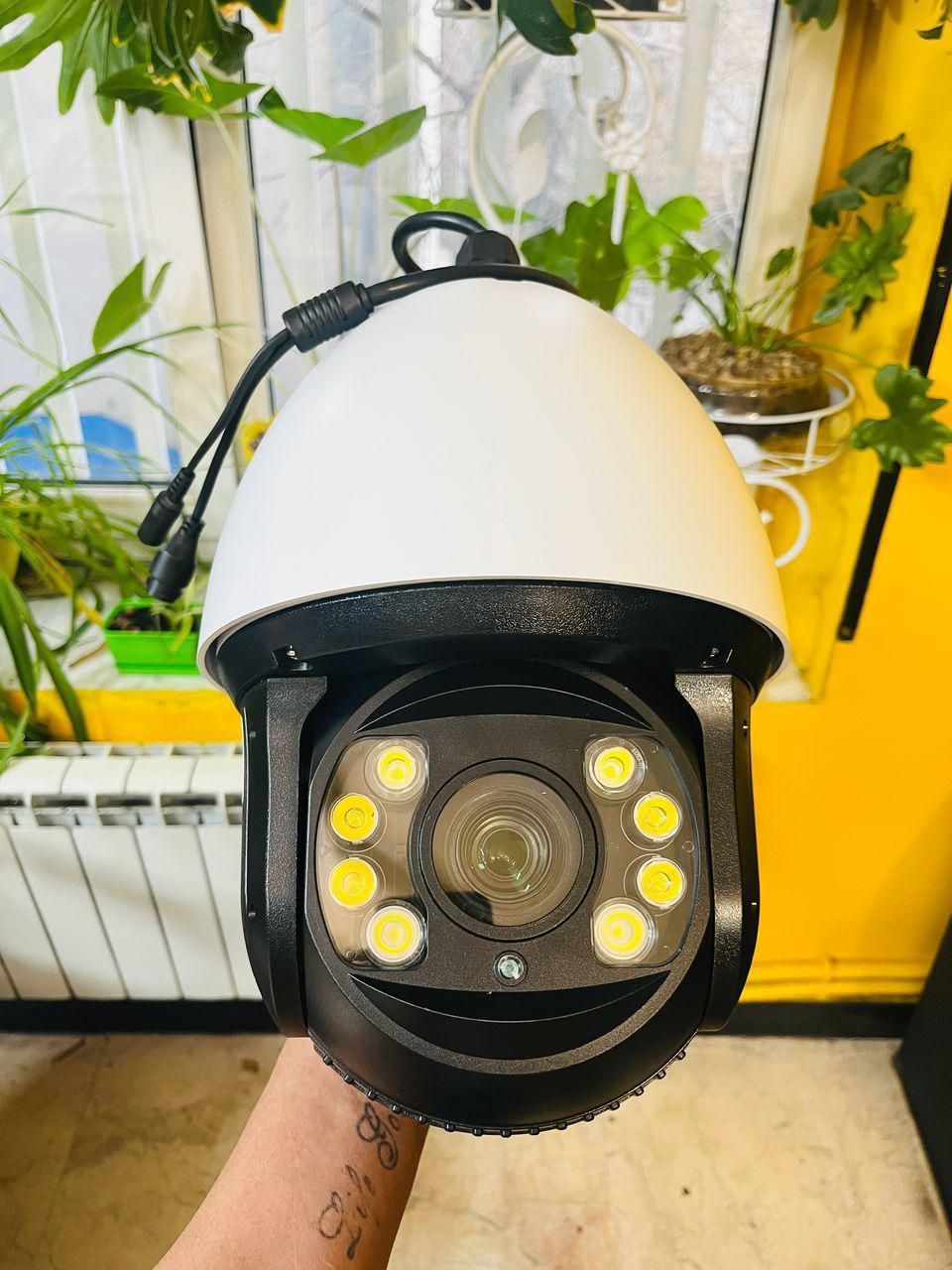 دوربین دام رنگی|دوربین مداربسته|قائن, |دیوار