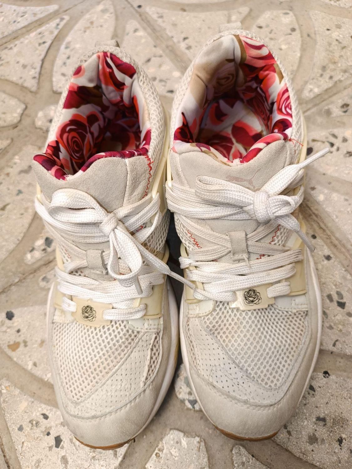 کفش و کیف تمیز و نو|کیف، کفش، کمربند|قزوین, |دیوار