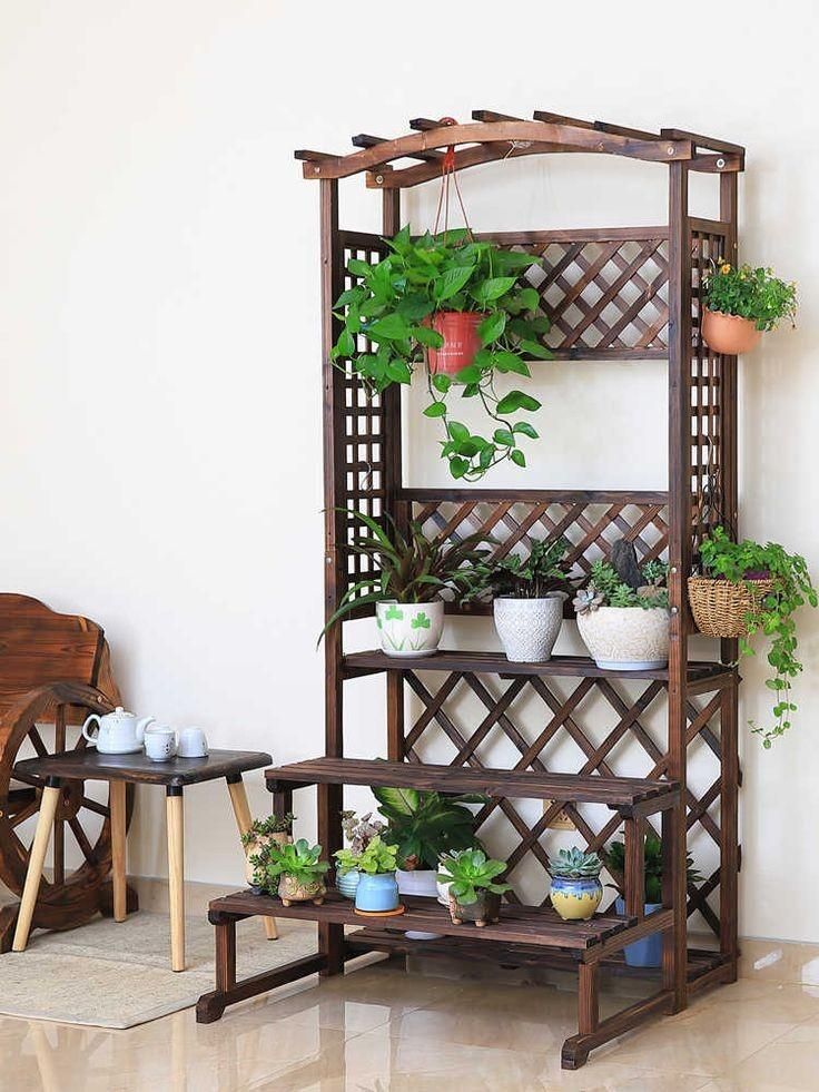 استندگل چوب روسی|گل و گیاه طبیعی|شیراز, قلعه شاهزاده بیگم|دیوار