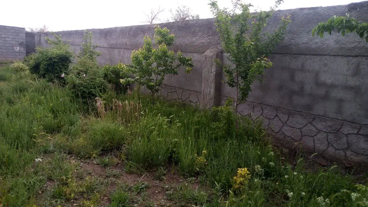 زمین باغی دور دیوار روستای جهانکوب|فروش زمین و ملک کلنگی|مشهد, توس فردوسی|دیوار