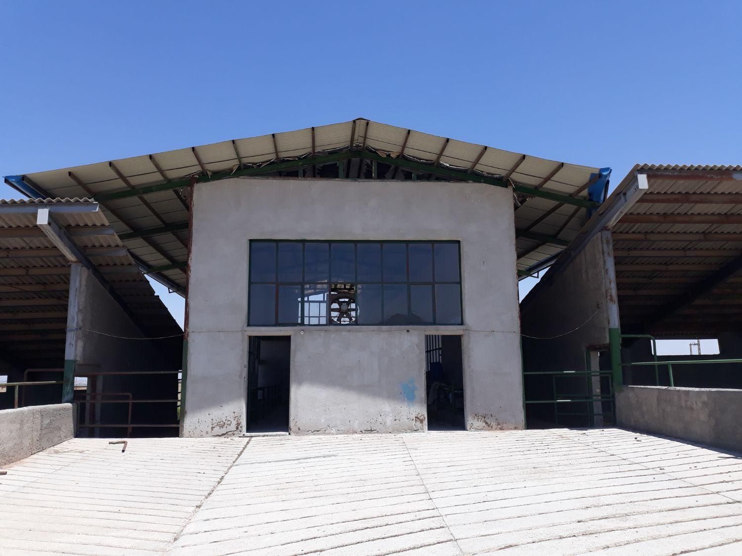 گاوداری ۵۰ راسی تمام صنعتی در شهرک دامگستر فشافویه|فروش دفتر صنعتی، کشاورزی، تجاری|کهریزک, |دیوار