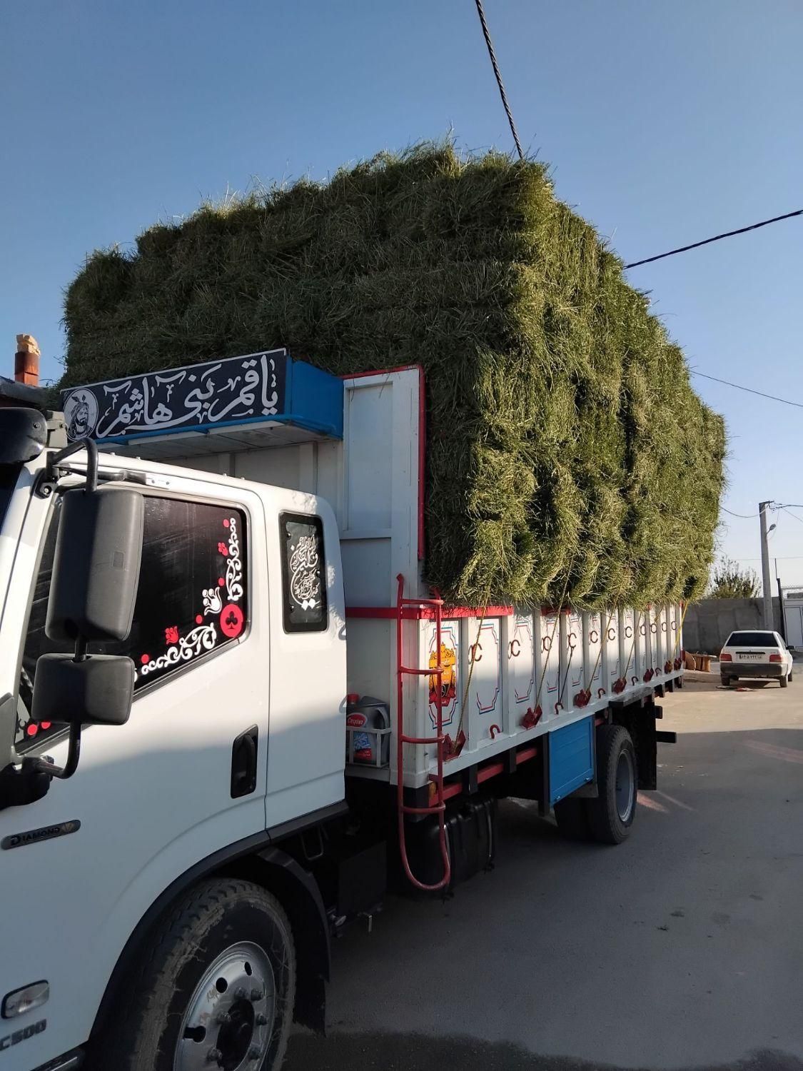 یونجه خالص چین سوم بدون رطوبت و علف|لوازم جانبی حیوانات|اصفهان, آبشار|دیوار