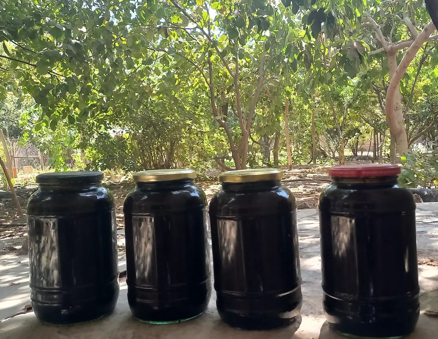 شیره توت|خوردنی و آشامیدنی|کرج, گلدشت|دیوار