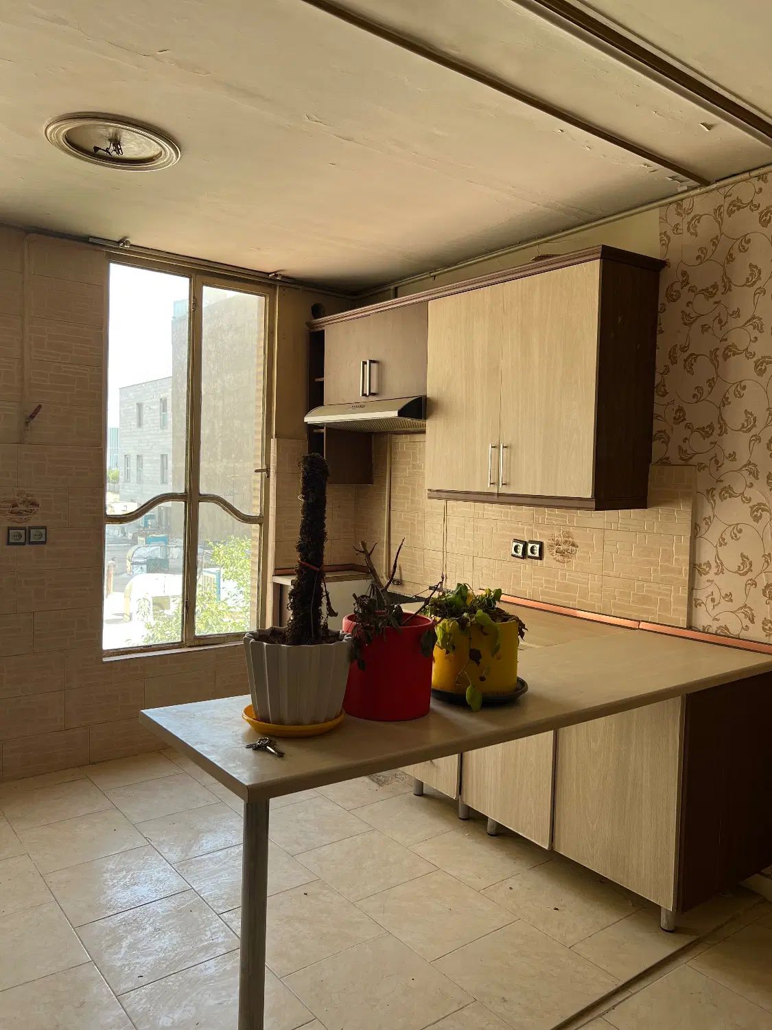 بک واحد آپارتمان در اخترشرقی ۴۵ متری گلشهر|اجارهٔ آپارتمان|کرج, گلشهر|دیوار