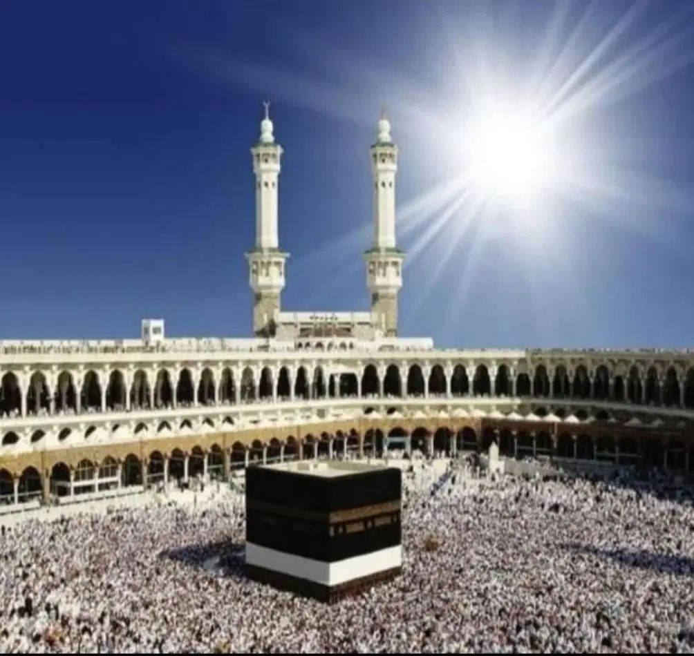 فیش حج|تور و چارتر|تهران, شهرک دریا|دیوار