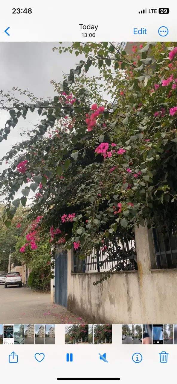 آپارتمان تک واحدی ۳خواب /بلوارگیلان|فروش آپارتمان|رشت, گلسار|دیوار
