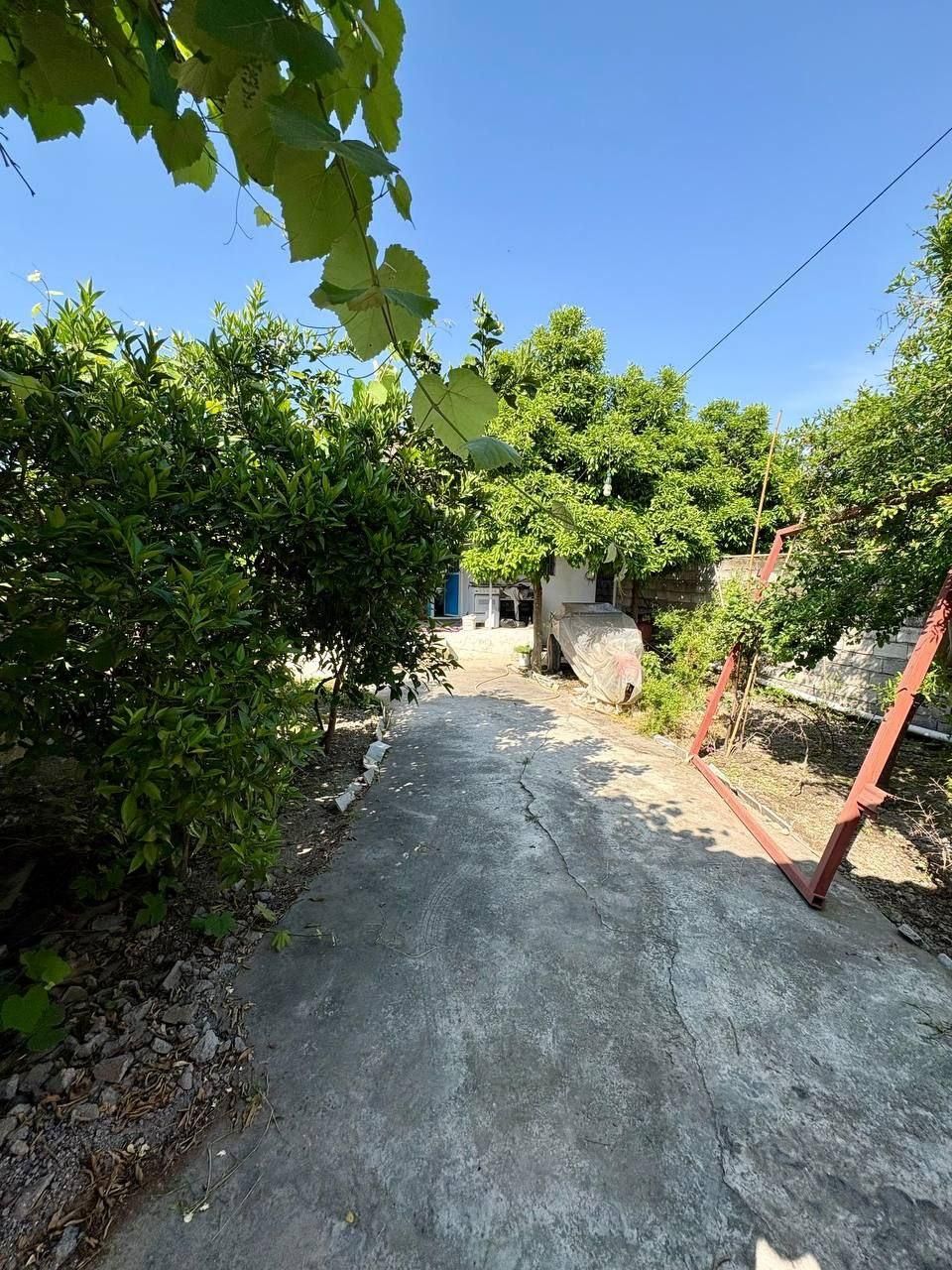 خونه باغ روستایی/دارای سندتک برگ عرصه و عیان|فروش خانه و ویلا|دابودشت, |دیوار