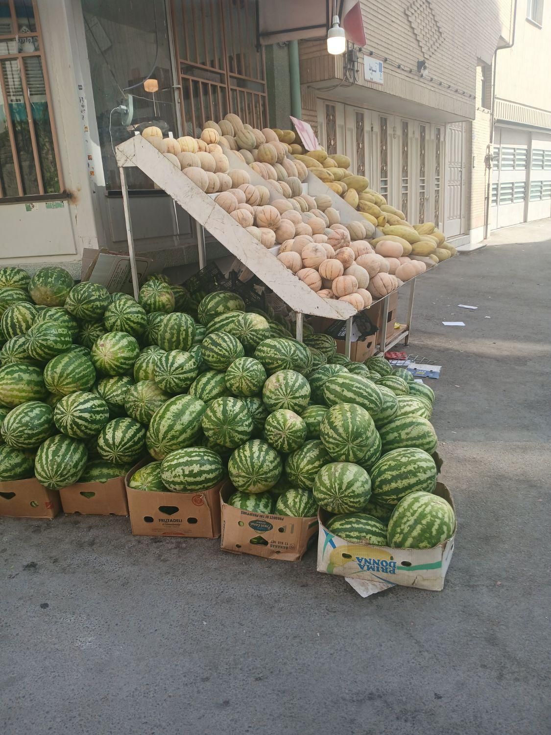 حراج انواع میوه هندوانه طالبی هلوگرمک آلبالو امروز|حراج|اصفهان, خانه اصفهان|دیوار