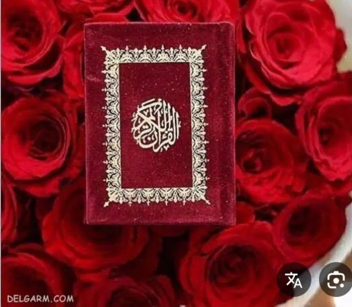 کتاب قرآنم رو میفروشم|کتاب و مجله تاریخی|تهران, الهیه|دیوار