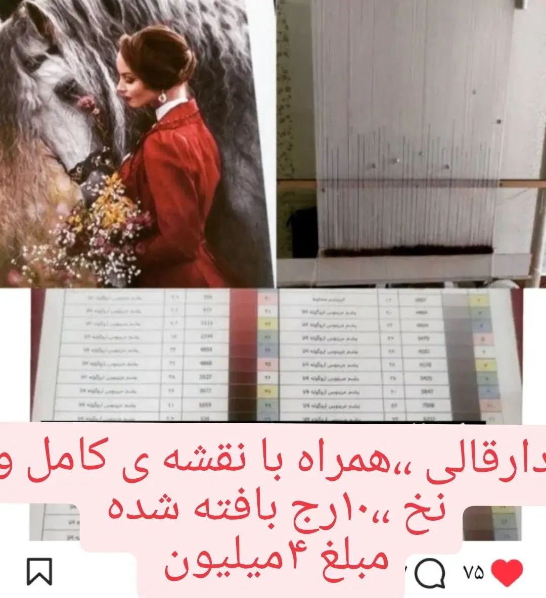 دار قالی|تابلو فرش|رشت, دیانتی|دیوار