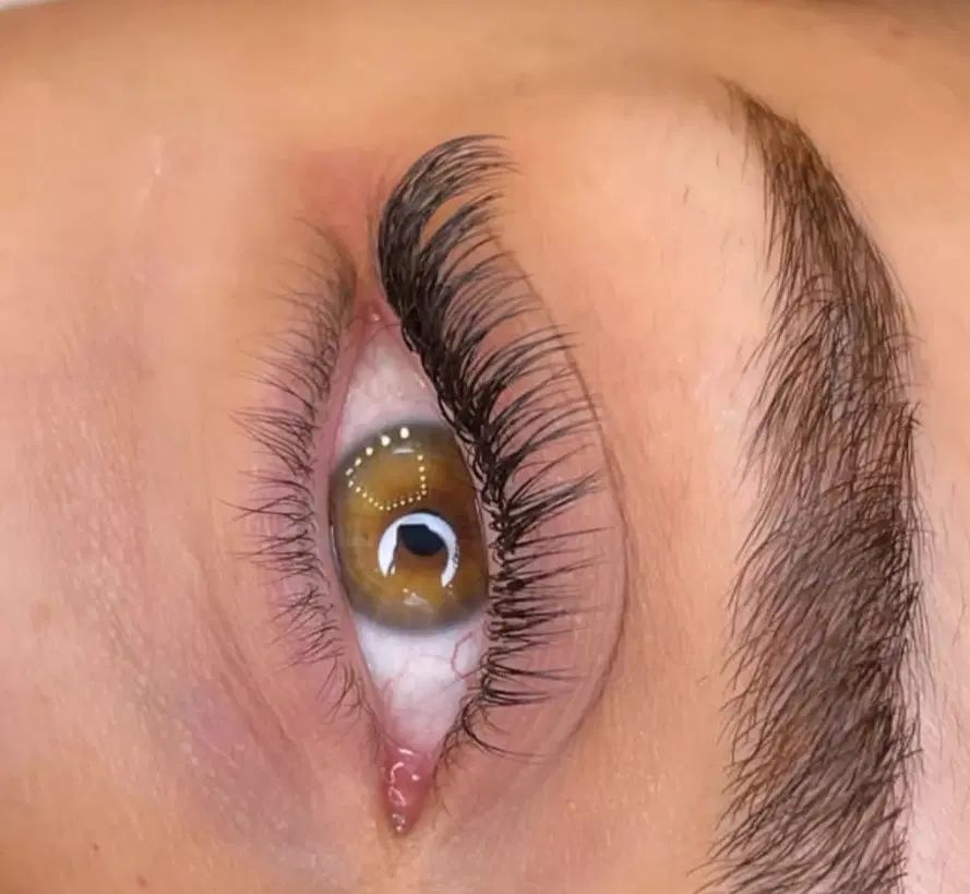 مدل میکروبلیدینگ و فیبروز/اکستنشن مژه|خدمات آرایشگری و زیبایی|تبریز, |دیوار