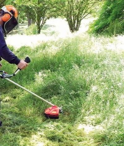 علف زنی با چمن زن|خدمات باغبانی و درختکاری|لنگرود, |دیوار