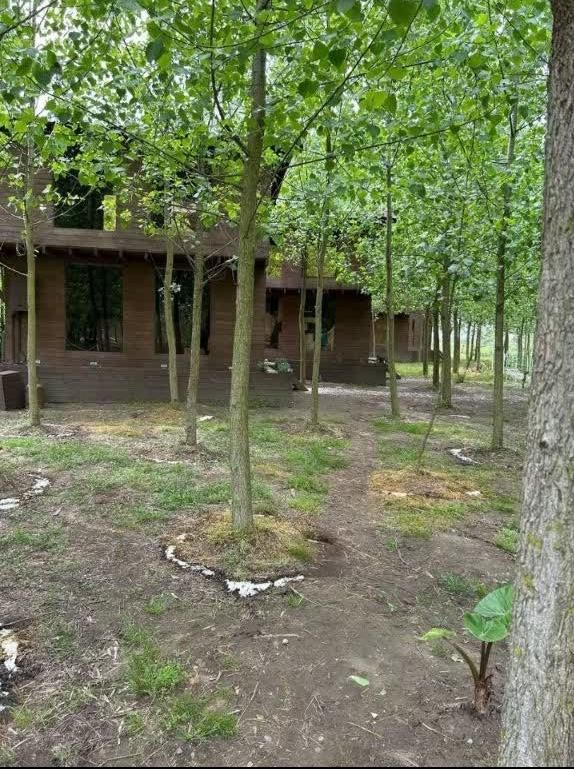 فروش ویلا با جزایر محوطه سازی شده|فروش خانه و ویلا|جهرم, |دیوار