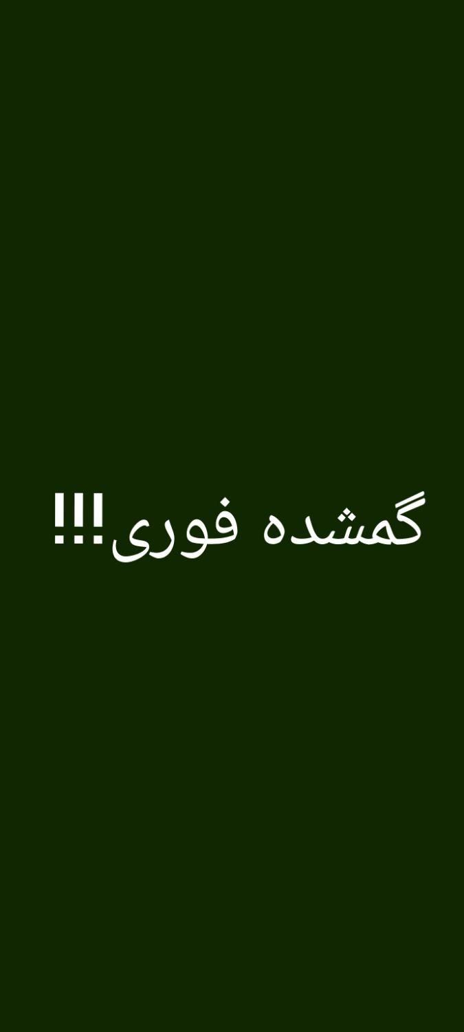 گمشده کیف در ابیک جاده قدیم سمت بیمارستان شهدا|اشیا|آبیک, |دیوار