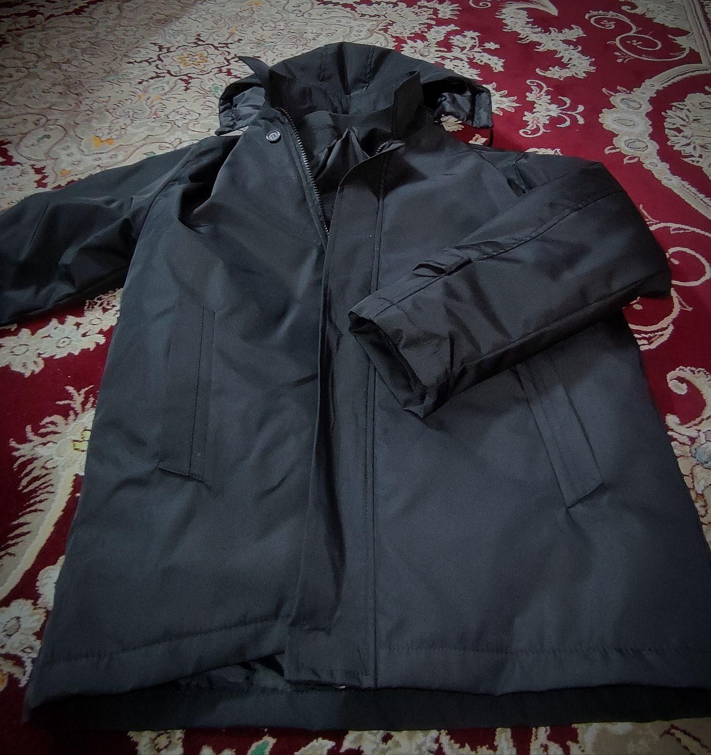 کاپشن مردانه (نو)|لباس|مینودشت, |دیوار