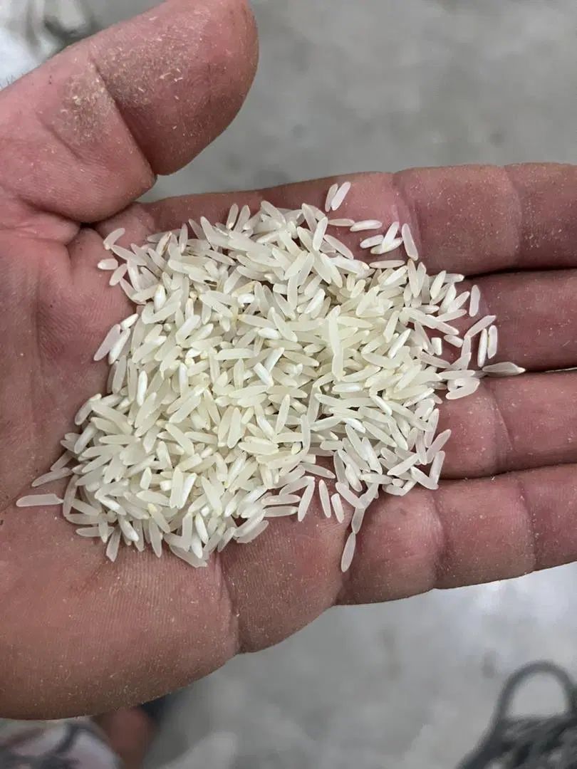 فروش برنج و نیمدانه و لاشه و ضایعات برنجی|خوردنی و آشامیدنی|گرگان, |دیوار