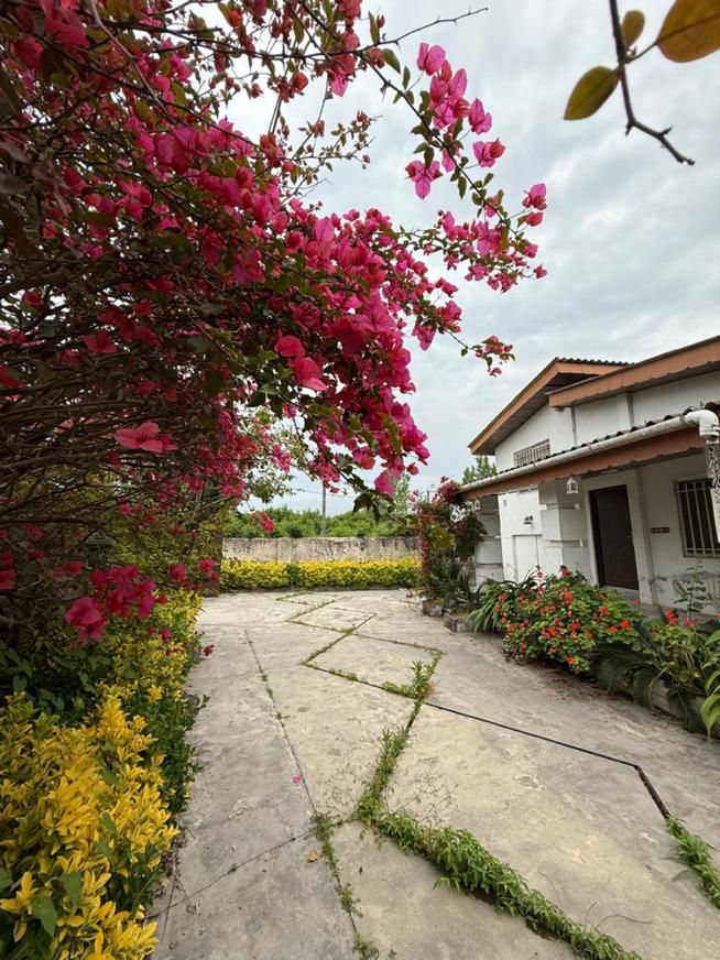 ویلا باغ شهرکی / سند تک برگ/نگهبان مقیم|فروش خانه و ویلا|سلمان‌شهر, |دیوار