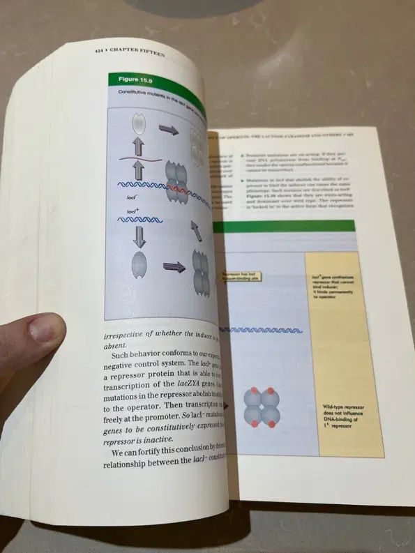 کتاب ژن ۵|کتاب و مجله آموزشی|تهران, ازگل|دیوار