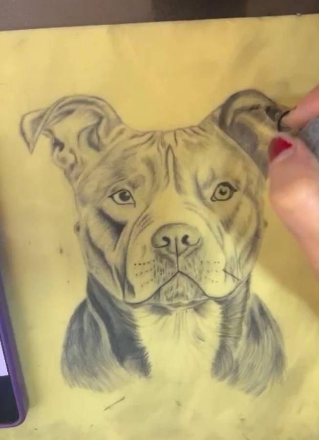 اموزش فوق حرفه ایی تاتو بدن و صورت|خدمات آرایشگری و زیبایی|رشت, دیلمان|دیوار