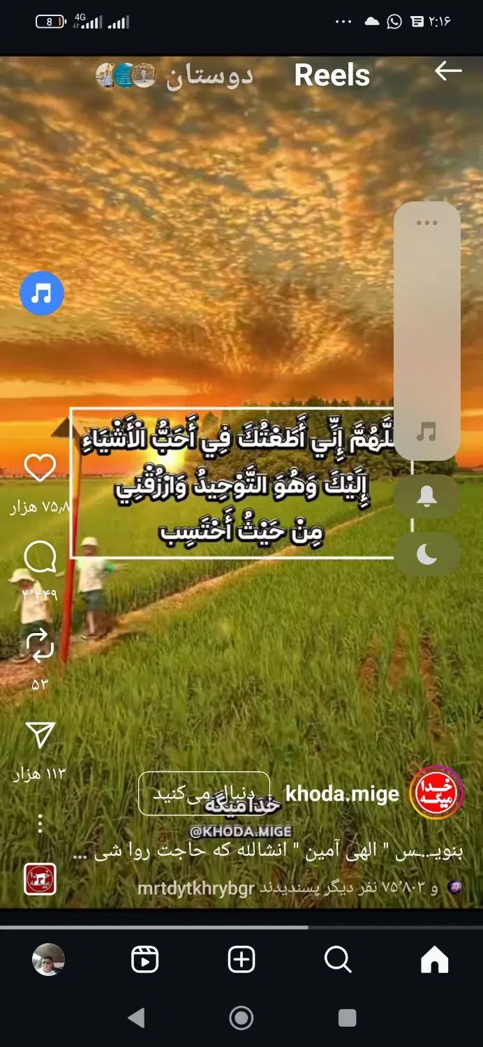 نظردرمورد عناب|خوردنی و آشامیدنی|مشهد, ارشاد|دیوار