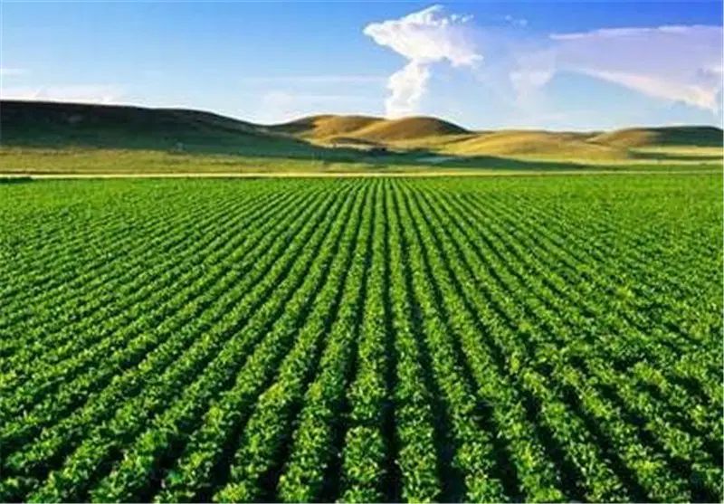 کود ارگانیک تخصصی تضمینی|خدمات باغبانی و درختکاری|اصفهان, احمدآباد|دیوار