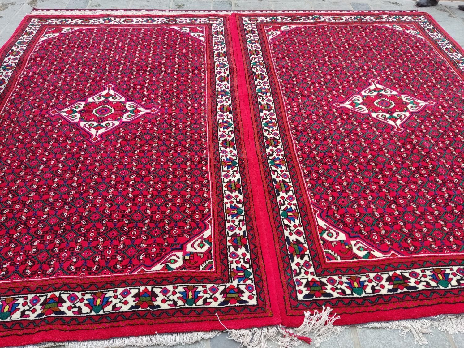 خریدار فرش دستبافت و ماشینی|فرش|همدان, |دیوار