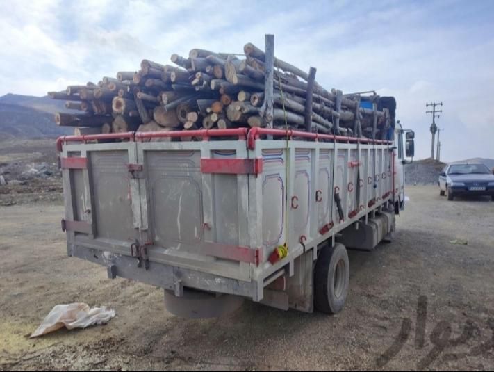 خریدار چوب و درخت خیس و خشک|خدمات باغبانی و درختکاری|قروه, |دیوار