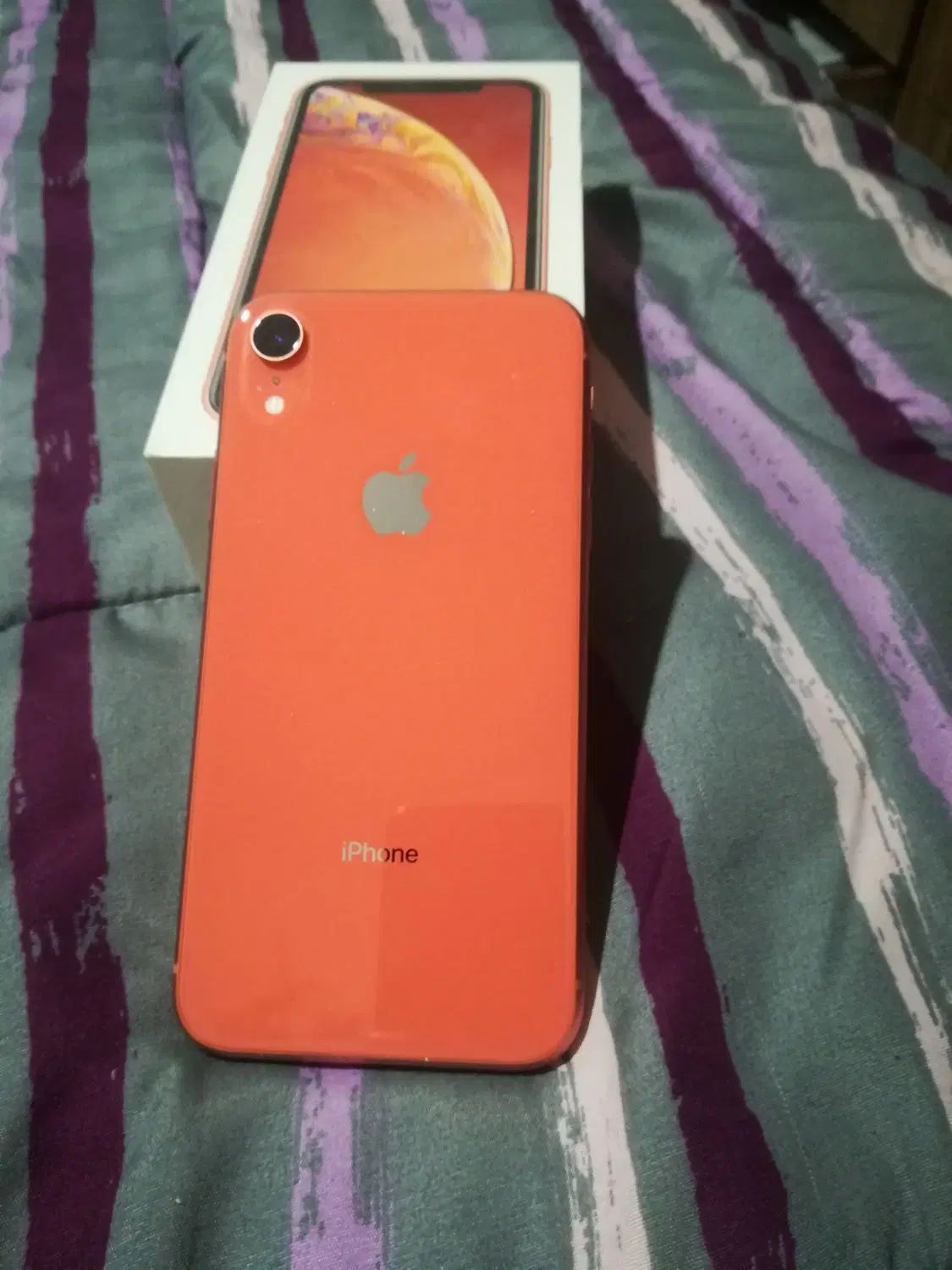 اپل iPhone XR با حافظهٔ ۶۴ گیگابایت|موبایل|مشهد, شاهد (شهرک غرب)|دیوار