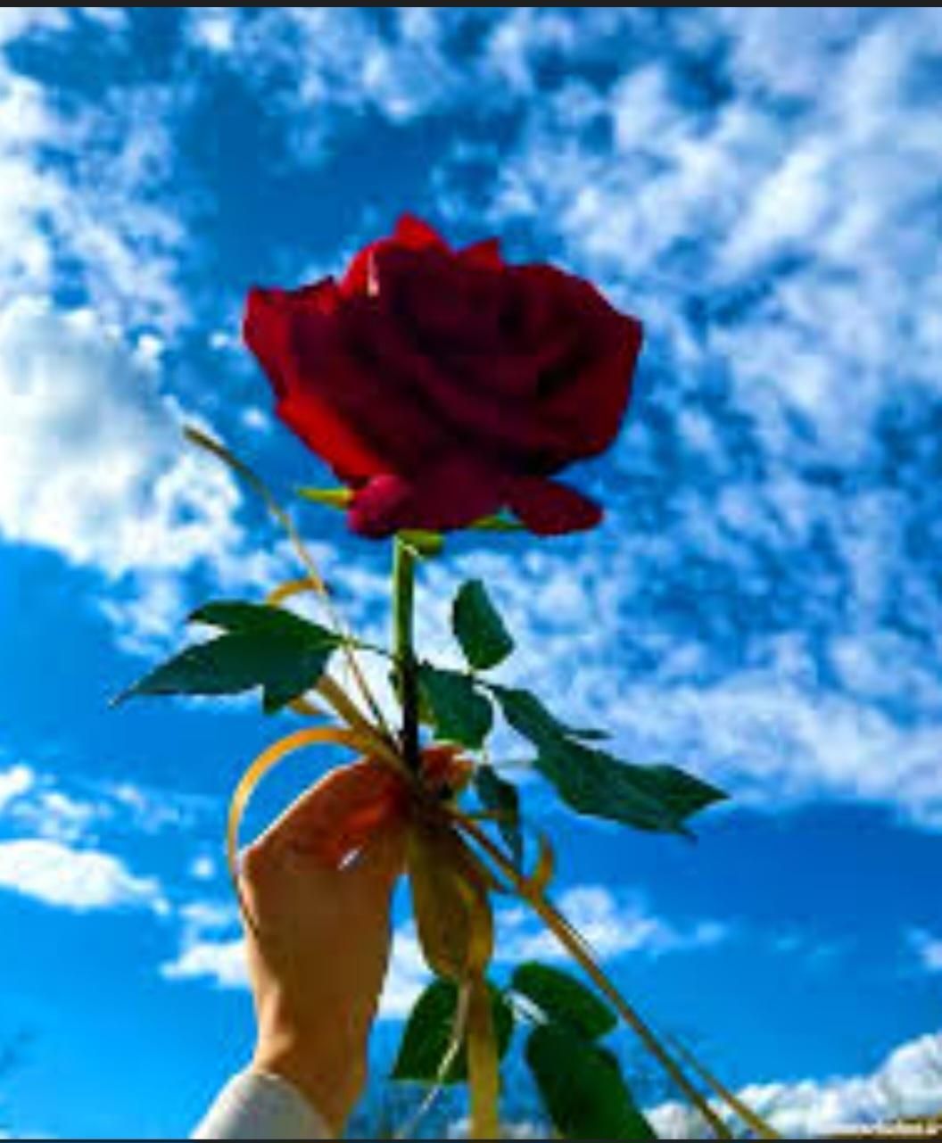 جایی برای رنگ کردن لباس|فعالیت داوطلبانه|بروجرد, |دیوار
