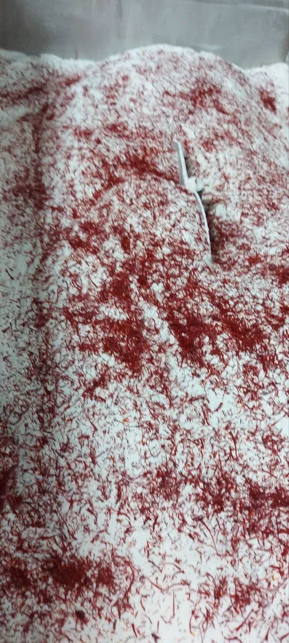 لاته زعفران|خوردنی و آشامیدنی|کرج, پارک علم و فناوری البرز|دیوار