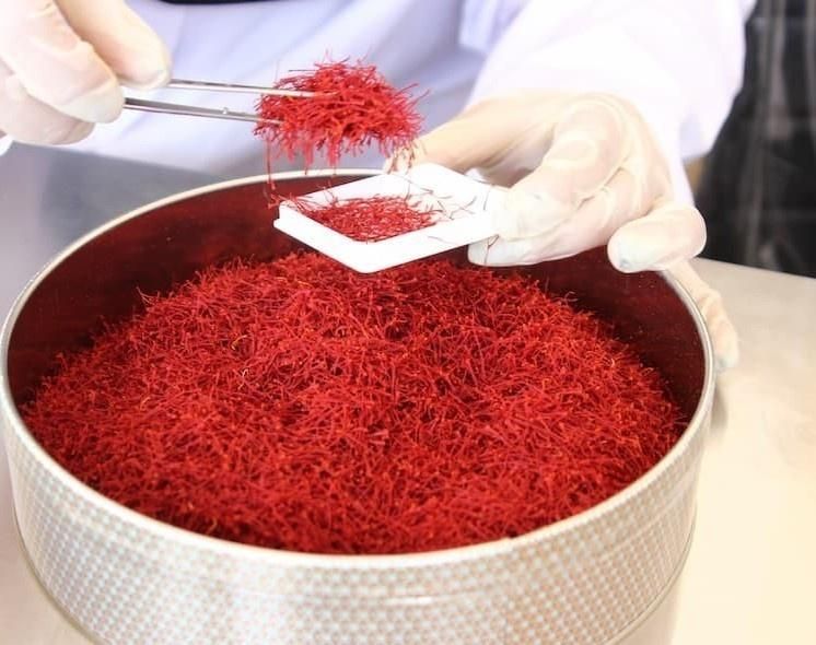 انواع زعفران تولید به مصرف عمده(کیلویی،بسته بندی)|خوردنی و آشامیدنی|شیراز, نصر|دیوار
