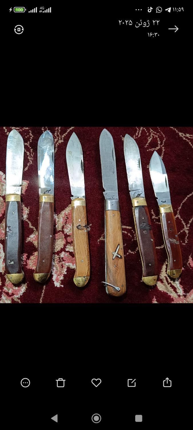 چاقو قصابی جیبی طبیعت گردی|کوهنوردی و کمپینگ|سراوان, |دیوار