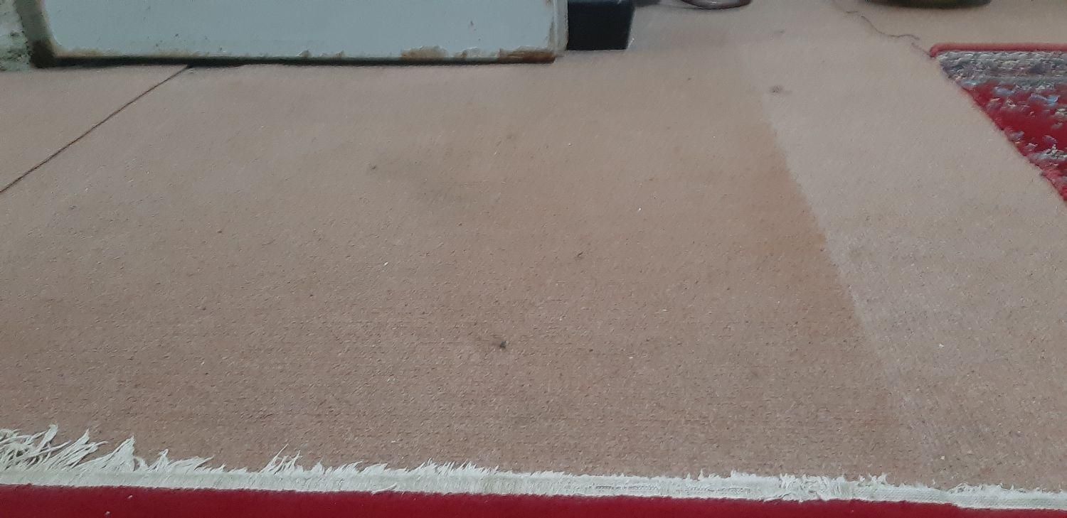 اجاره روزانه/هفتگی/ماهانه آپارتمان ۴۰ متری|اجارهٔ کوتاهمدت آپارتمان و سوئیت|بهبهان, |دیوار