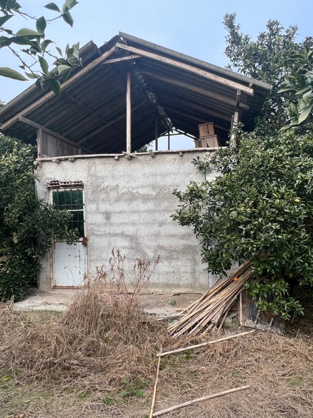 ۷ هزار متر باغ با کنتور برق و چاه با مجوز / آلونک|فروش زمین و ملک کلنگی|کیاکلا, |دیوار