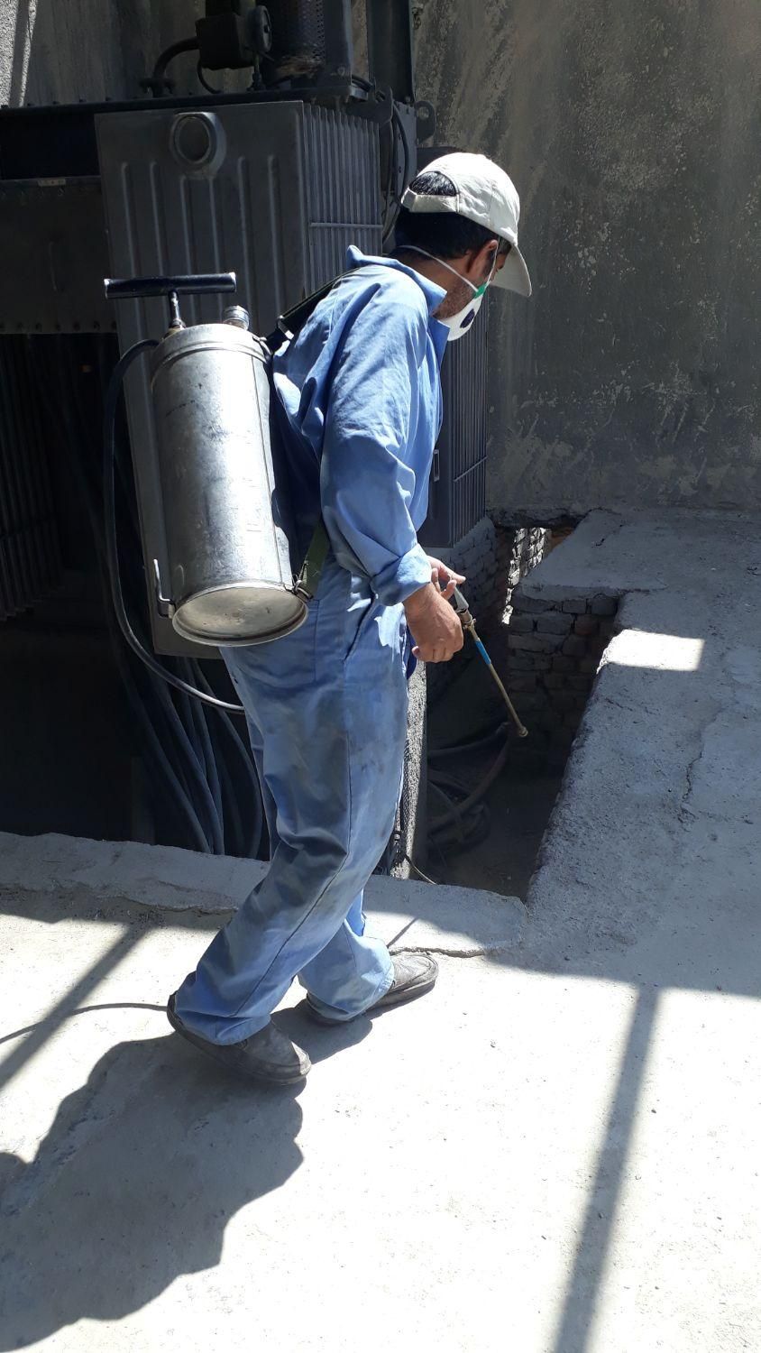 شرکت سمپاشی  البرز تضمینی  با 32 سال سابقه سم پاشی|خدمات نظافت|زاهدان, |دیوار